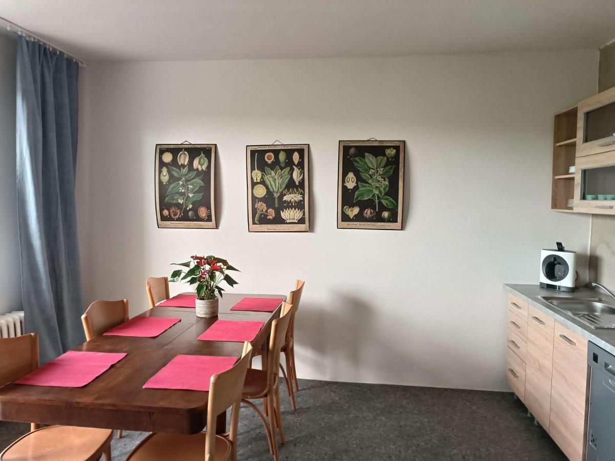 Apartmany Nad Splavem זנוימו מראה חיצוני תמונה